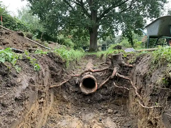Rand van een uitgraving met boomwortels en een oude drainagebuis