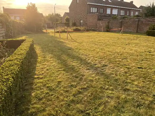 Zonnig gazon in een Vlaamse tuin, de toekomstige plaats van het zwembad